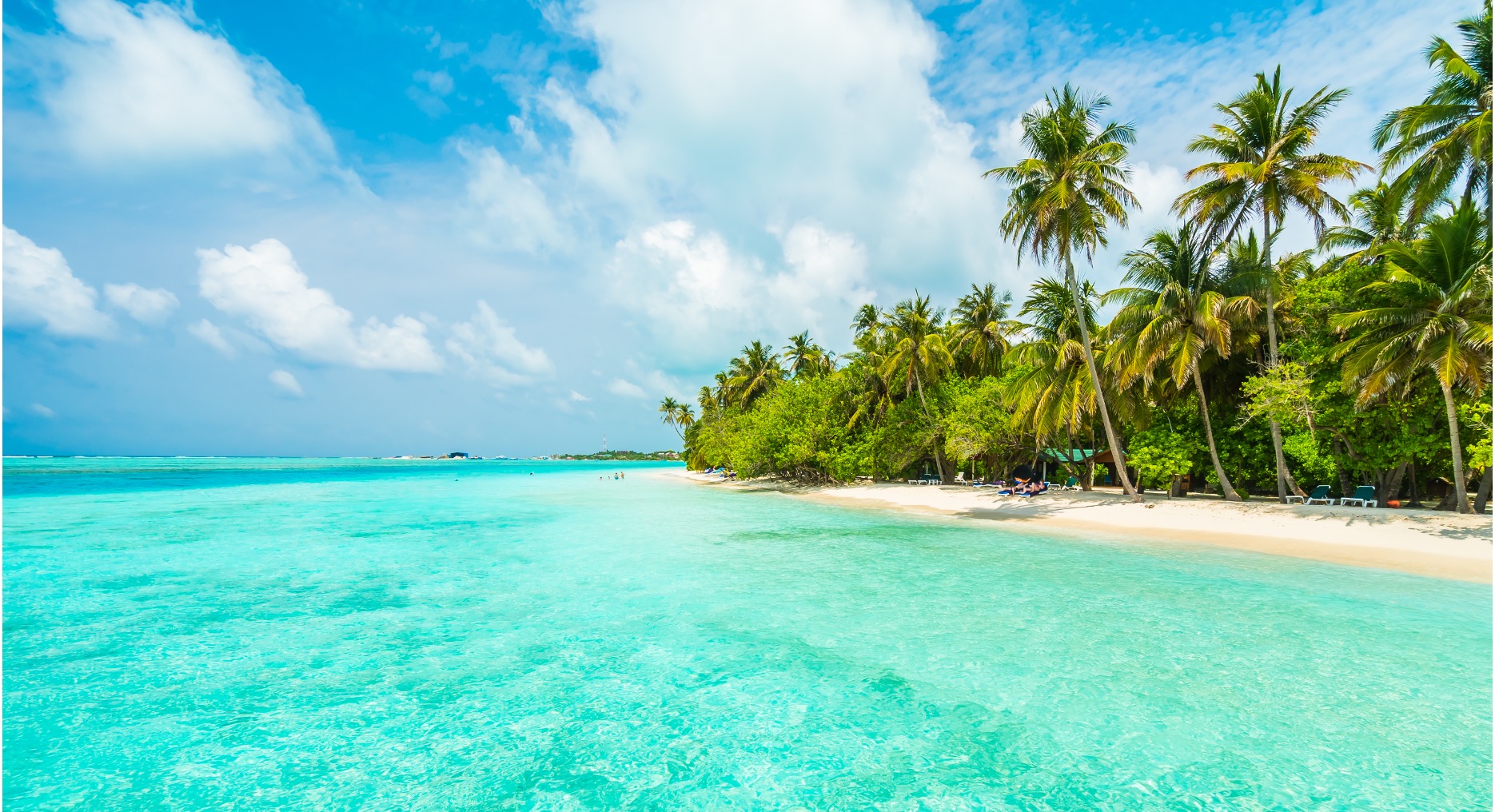 Tropical beach and palm trees Bahamas - Investing in Luxury Real Estate Bahamas